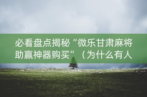 必看盘点揭秘“微乐甘肃麻将助赢神器购买”（为什么有人一直赢)