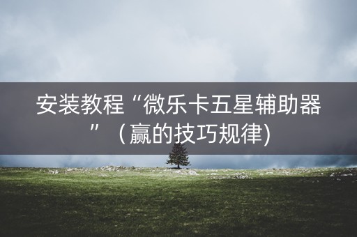 安装教程“微乐卡五星辅助器”（赢的技巧规律)