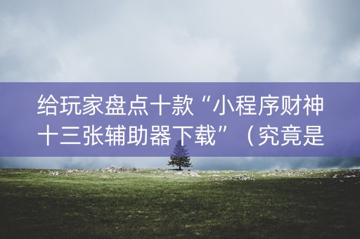 给玩家盘点十款“小程序财神十三张辅助器下载”（究竟是不是有挂)
