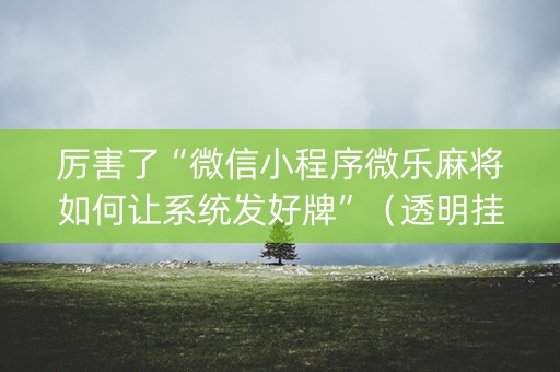 厉害了“微信小程序微乐麻将如何让系统发好牌”（透明挂辅助器)