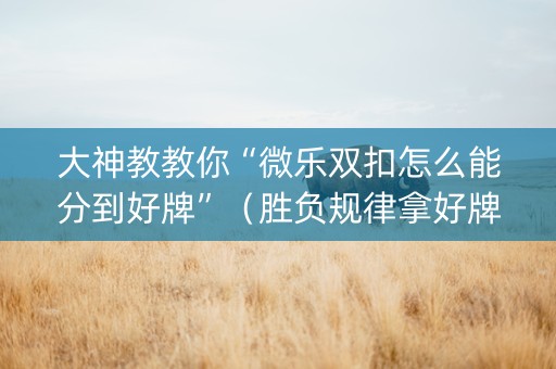 大神教教你“微乐双扣怎么能分到好牌”（胜负规律拿好牌)