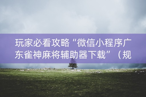 玩家必看攻略“微信小程序广东雀神麻将辅助器下载”（规律确实有挂)