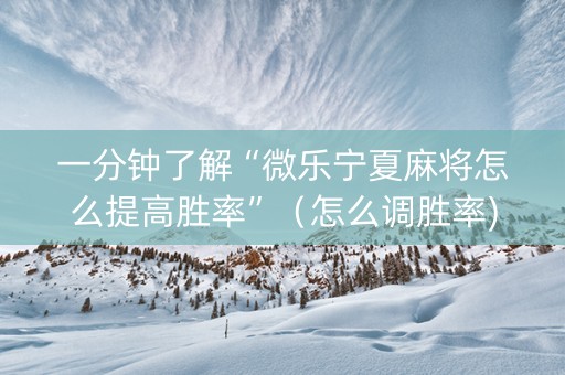 一分钟了解“微乐宁夏麻将怎么提高胜率”（怎么调胜率)