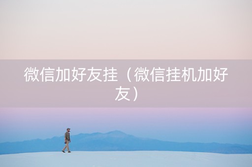 微信加好友挂（微信挂机加好友）