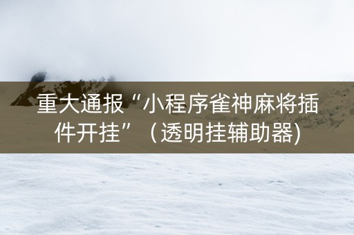 重大通报“小程序雀神麻将插件开挂”（透明挂辅助器)