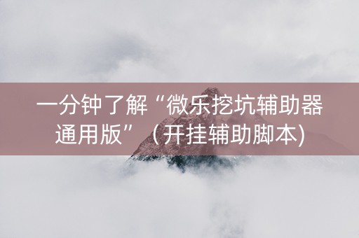 一分钟了解“微乐挖坑辅助器通用版”（开挂辅助脚本)