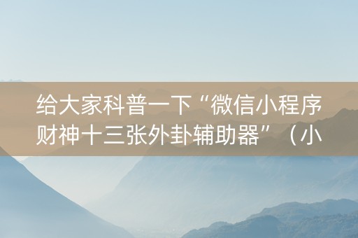 给大家科普一下“微信小程序财神十三张外卦辅助器”（小程序辅助软件)