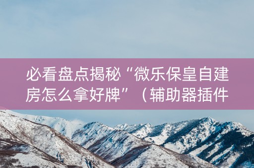 必看盘点揭秘“微乐保皇自建房怎么拿好牌”（辅助器插件)