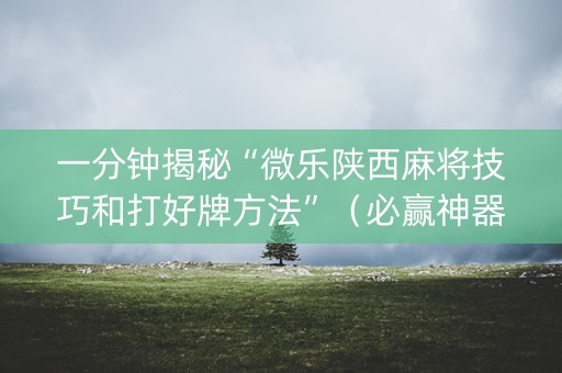 一分钟揭秘“微乐陕西麻将技巧和打好牌方法”（必赢神器免费安装)