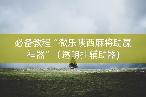 必备教程“微乐陕西麻将助赢神器”（透明挂辅助器)