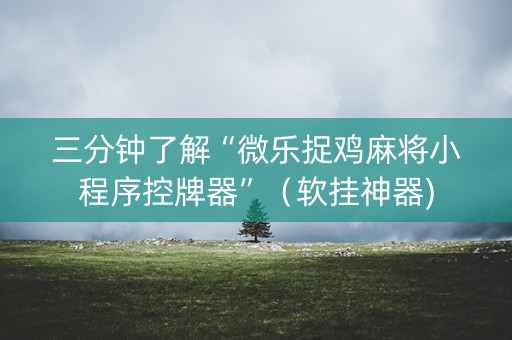 三分钟了解“微乐捉鸡麻将小程序控牌器”（软挂神器)