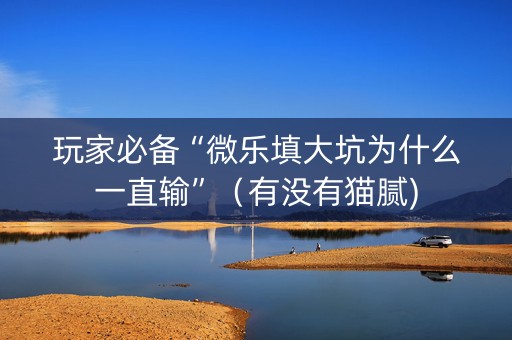 玩家必备“微乐填大坑为什么一直输”（有没有猫腻)