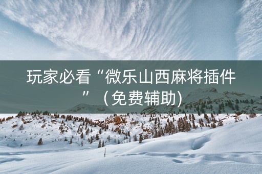 玩家必看“微乐山西麻将插件”（免费辅助)