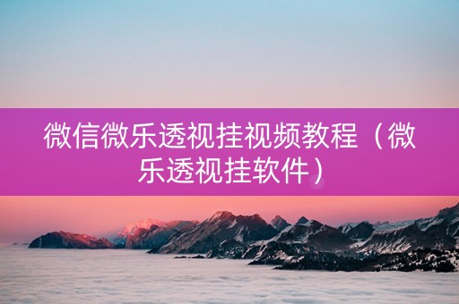 微信微乐透视挂视频教程（微乐透视挂软件）