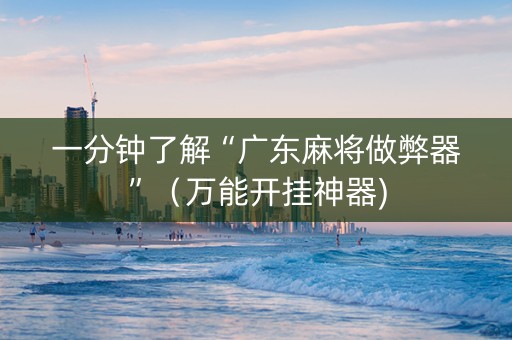 一分钟了解“广东麻将做弊器”（万能开挂神器)