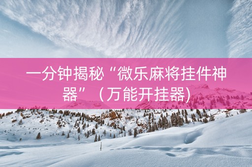 一分钟揭秘“微乐麻将挂件神器”（万能开挂器)