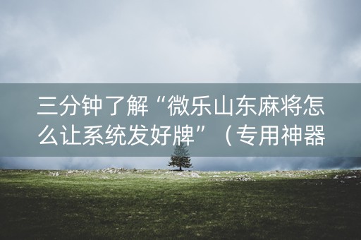 三分钟了解“微乐山东麻将怎么让系统发好牌”（专用神器)