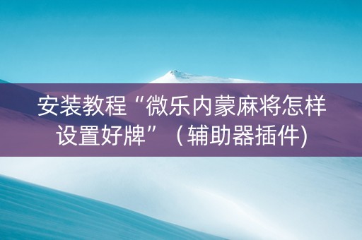 安装教程“微乐内蒙麻将怎样设置好牌”（辅助器插件)