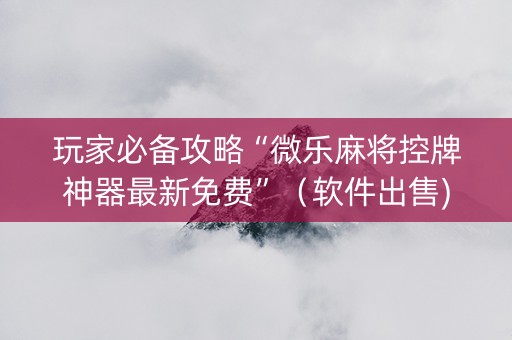 玩家必备攻略“微乐麻将控牌神器最新免费”（软件出售)