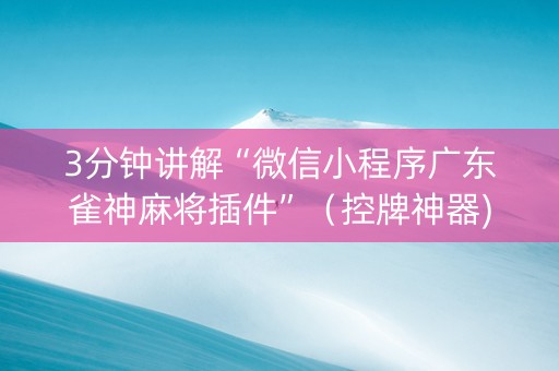3分钟讲解“微信小程序广东雀神麻将插件”（控牌神器)