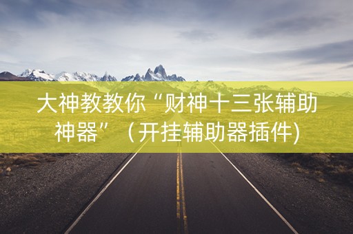大神教教你“财神十三张辅助神器”（开挂辅助器插件)