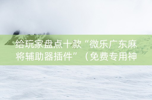 给玩家盘点十款“微乐广东麻将辅助器插件”（免费专用神器)