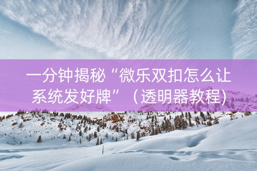 一分钟揭秘“微乐双扣怎么让系统发好牌”（透明器教程)