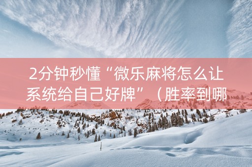 2分钟秒懂“微乐麻将怎么让系统给自己好牌”（胜率到哪调)