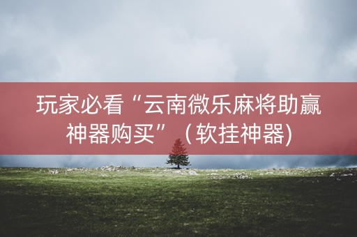 玩家必看“云南微乐麻将助赢神器购买”（软挂神器)