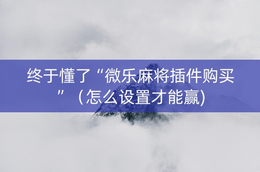 终于懂了“微乐麻将插件购买”（怎么设置才能赢)