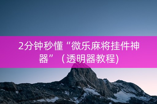2分钟秒懂“微乐麻将挂件神器”（透明器教程)