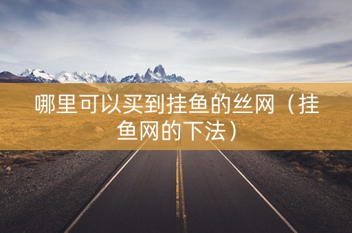 哪里可以买到挂鱼的丝网（挂鱼网的下法）