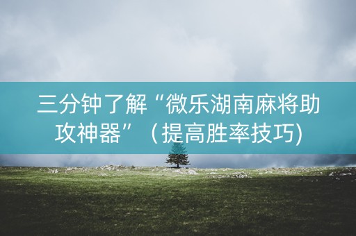 三分钟了解“微乐湖南麻将助攻神器”（提高胜率技巧)