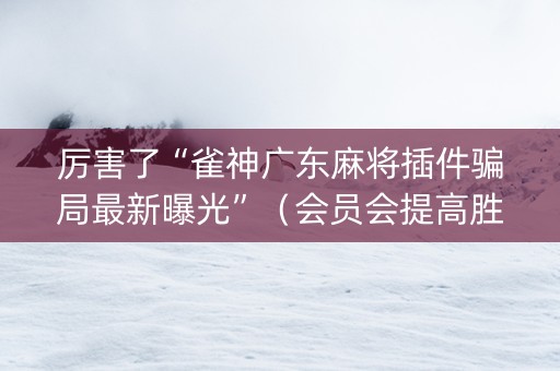 厉害了“雀神广东麻将插件骗局最新曝光”（会员会提高胜率吗)