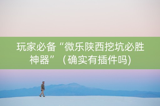 玩家必备“微乐陕西挖坑必胜神器”（确实有插件吗)