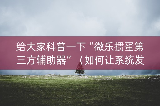给大家科普一下“微乐掼蛋第三方辅助器”（如何让系统发好牌)