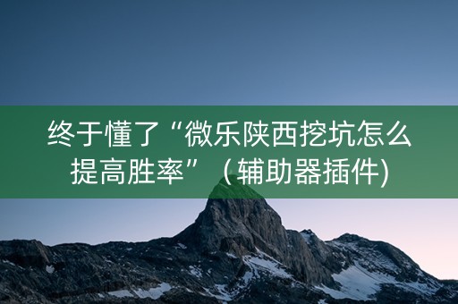 终于懂了“微乐陕西挖坑怎么提高胜率”（辅助器插件)