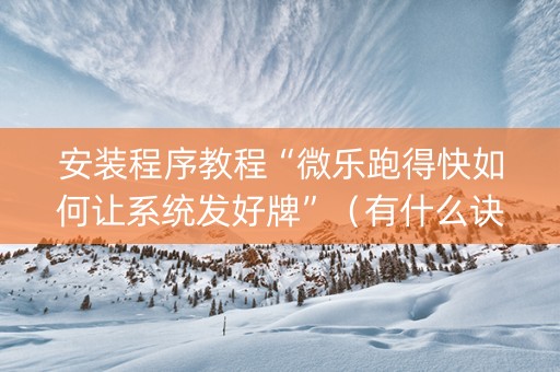 安装程序教程“微乐跑得快如何让系统发好牌”（有什么诀窍)