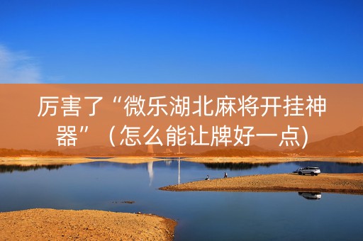 厉害了“微乐湖北麻将开挂神器”（怎么能让牌好一点)