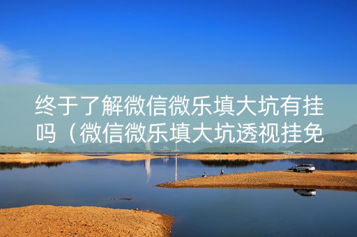 终于了解微信微乐填大坑有挂吗（微信微乐填大坑透视挂免费）