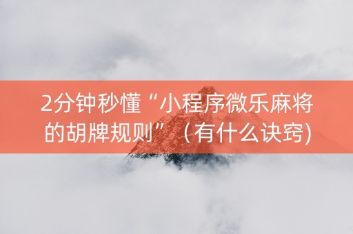 2分钟秒懂“小程序微乐麻将的胡牌规则”（有什么诀窍)