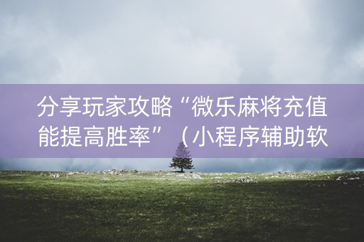 分享玩家攻略“微乐麻将充值能提高胜率”（小程序辅助软件)