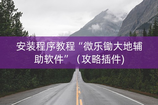 安装程序教程“微乐锄大地辅助软件”（攻略插件)