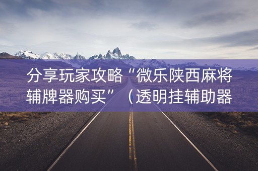 分享玩家攻略“微乐陕西麻将辅牌器购买”（透明挂辅助器)