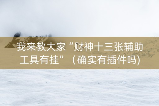 我来教大家“财神十三张辅助工具有挂”（确实有插件吗)