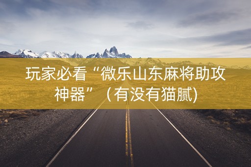 玩家必看“微乐山东麻将助攻神器”（有没有猫腻)