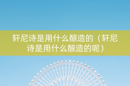 轩尼诗是用什么酿造的（轩尼诗是用什么酿造的呢）