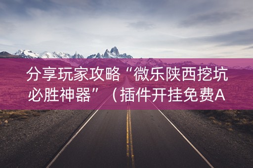 分享玩家攻略“微乐陕西挖坑必胜神器”（插件开挂免费AI)