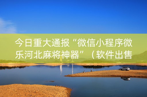 今日重大通报“微信小程序微乐河北麻将神器”（软件出售)