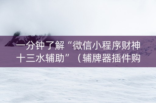 一分钟了解“微信小程序财神十三水辅助”（辅牌器插件购买)